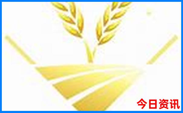 湖北年票包含哪些景点